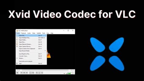 XviD Video Codec .